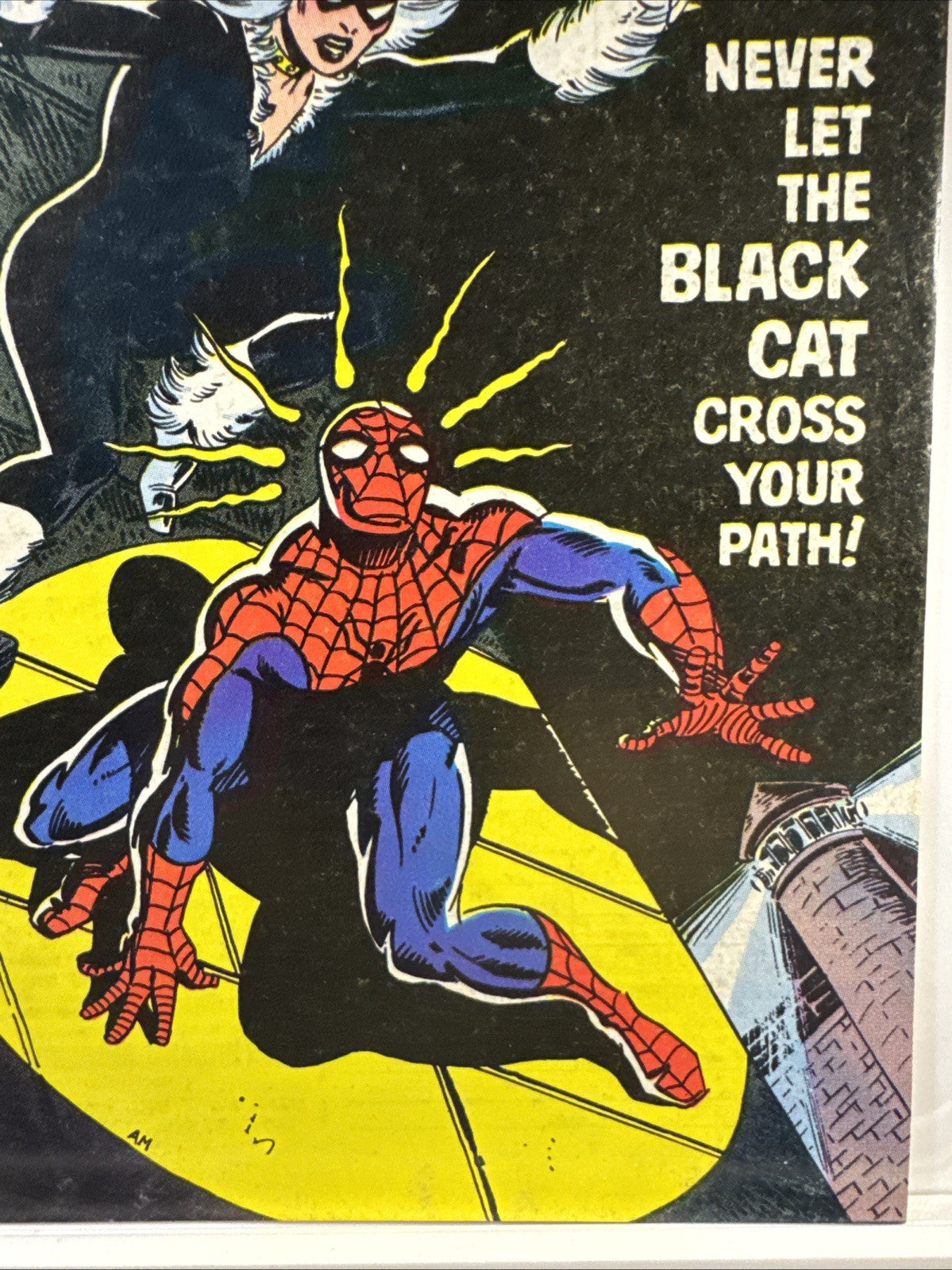 Amazing Spider-Man #194 Newsstand Marvel 1979 BRONZE KEY F/VF 1st App Black Cat