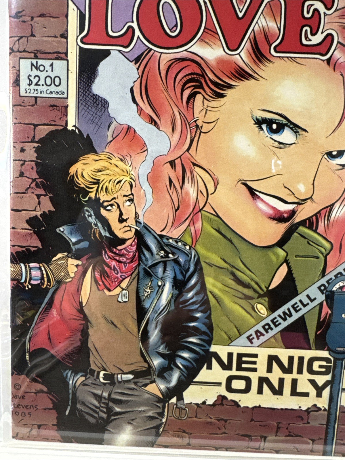 True Love #1 ~ 1986 Eclipse Comics ~ Dave Stevens Cover Art NM COPPER BEAUTY!