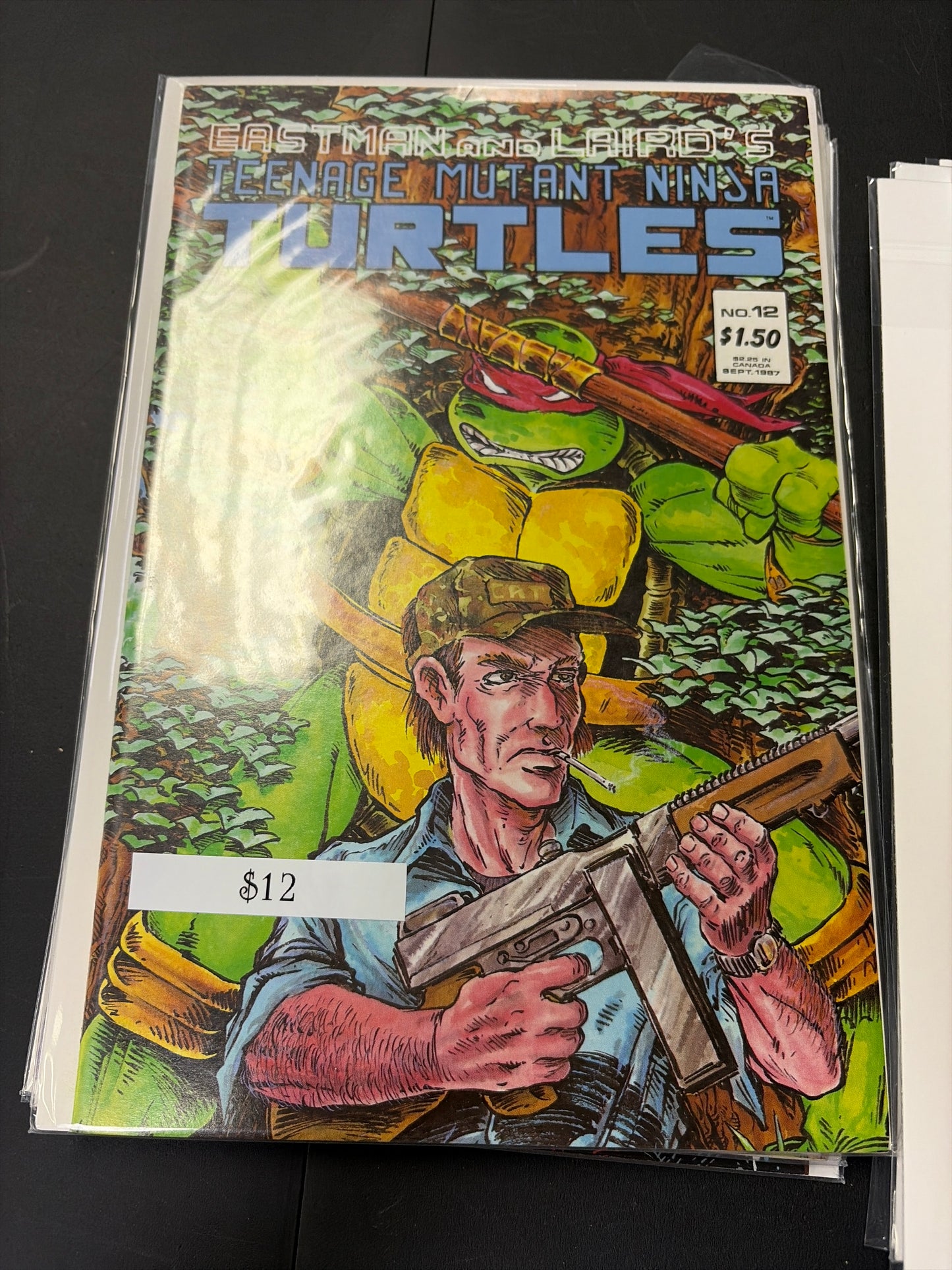 Eastman and Lairds TMNT #12