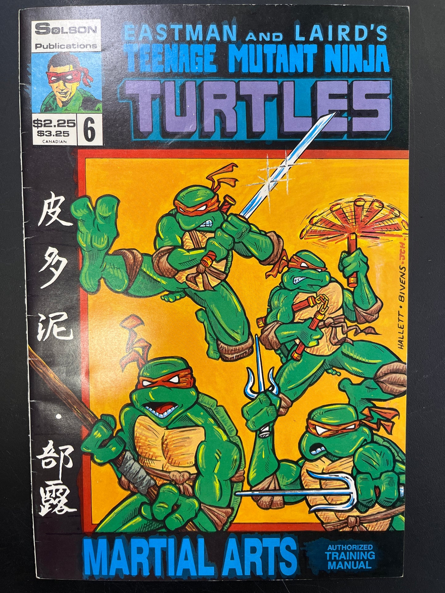 Teenage Mutant Ninja Turtles: Authorized Martial Arts Training Manual, #6
