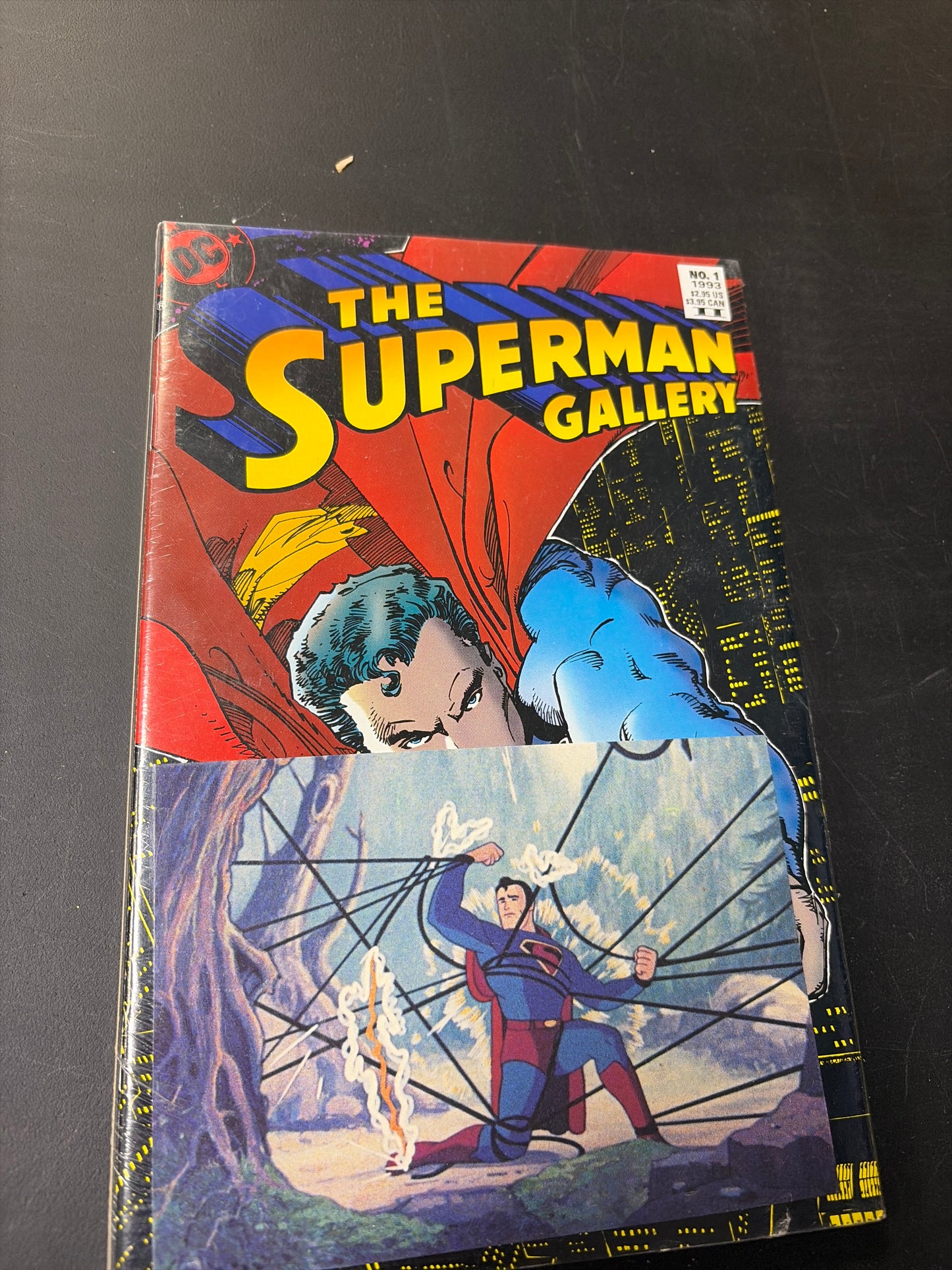 The Superman Gallery Novel