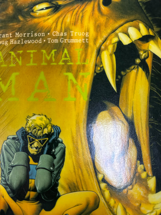 Animal Man TPB