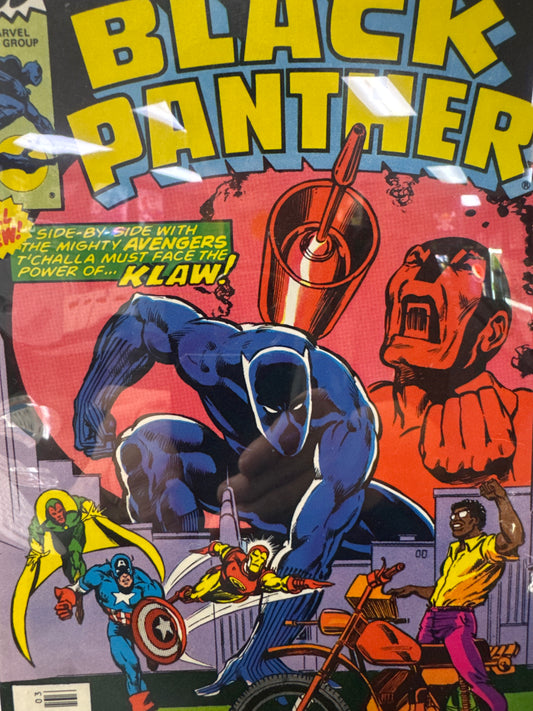 Black Panther #14