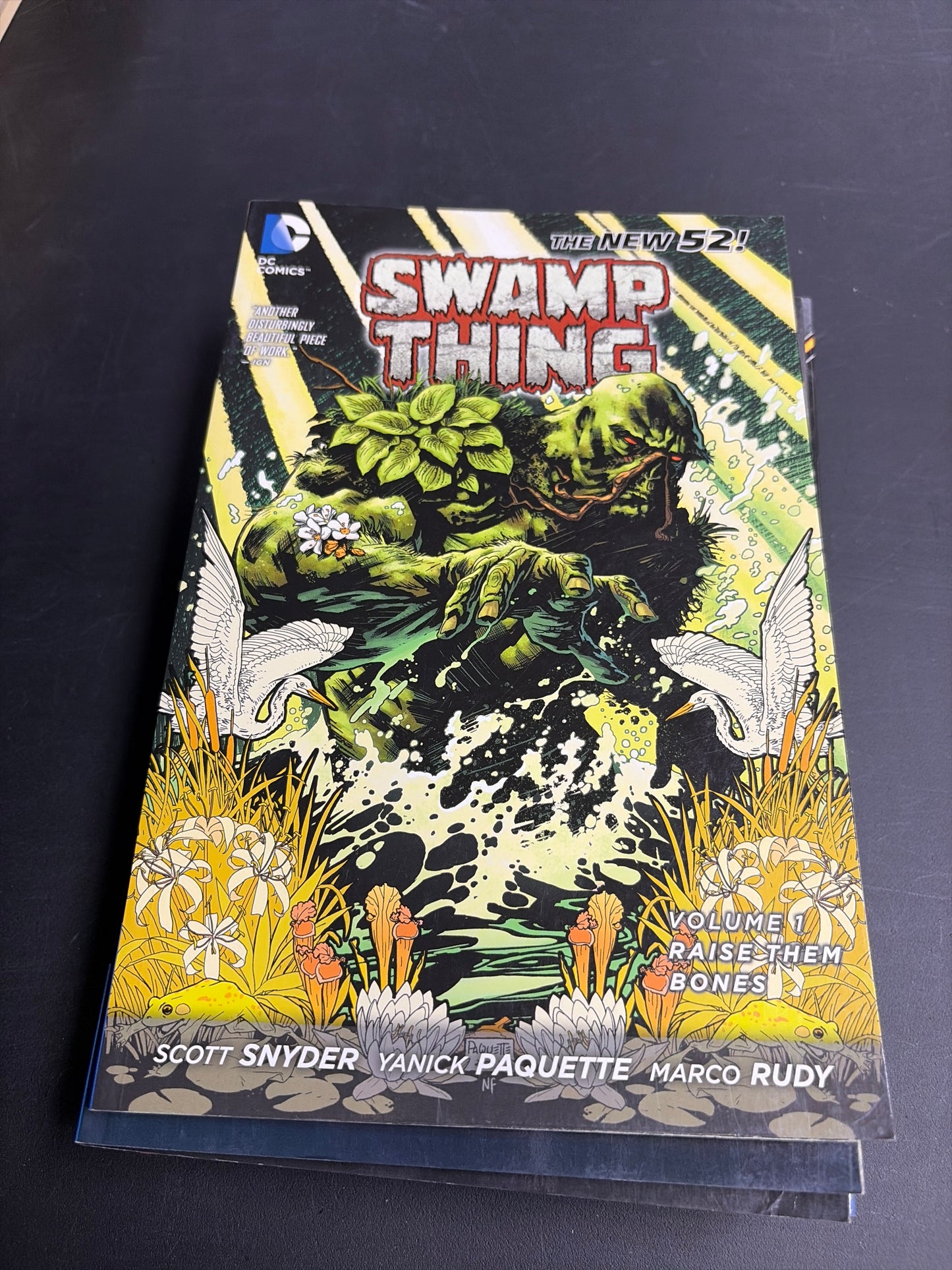 Swamp Thing: Raise Them Bones