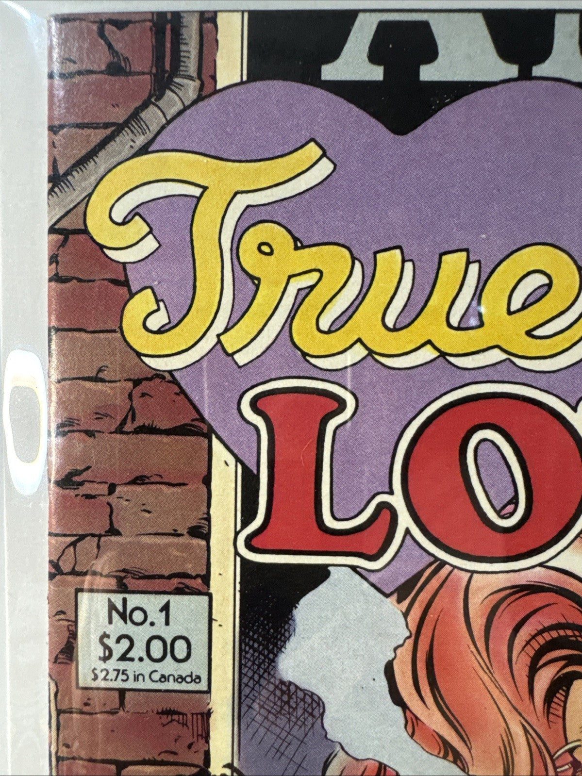 True Love #1 ~ 1986 Eclipse Comics ~ Dave Stevens Cover Art NM COPPER BEAUTY!