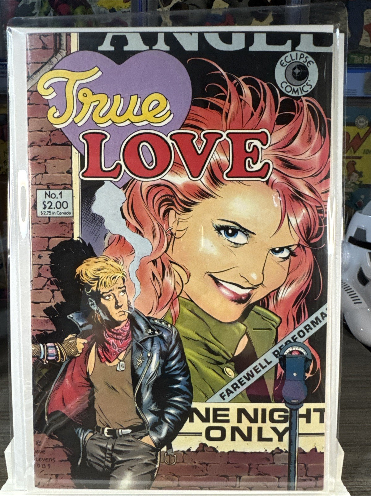 True Love #1 ~ 1986 Eclipse Comics ~ Dave Stevens Cover Art NM COPPER BEAUTY!