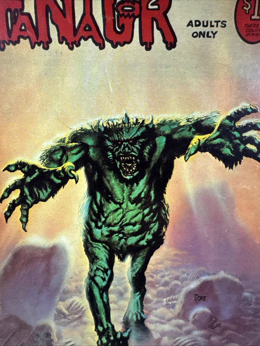 Fantagor #2 (Rip Off Press 1972) UNDERGROUND BRONZE Comix VG+ Richard Corben