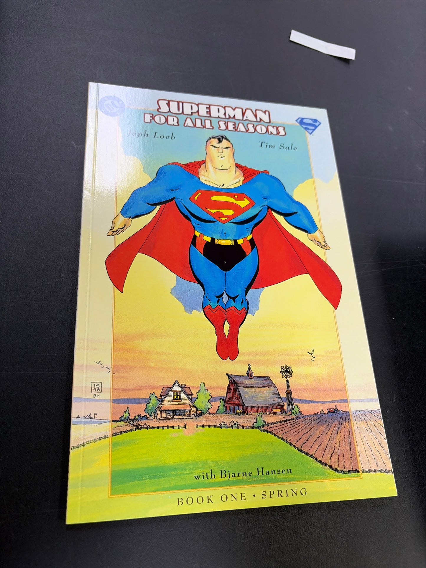 Superman: For All Seasons Book One