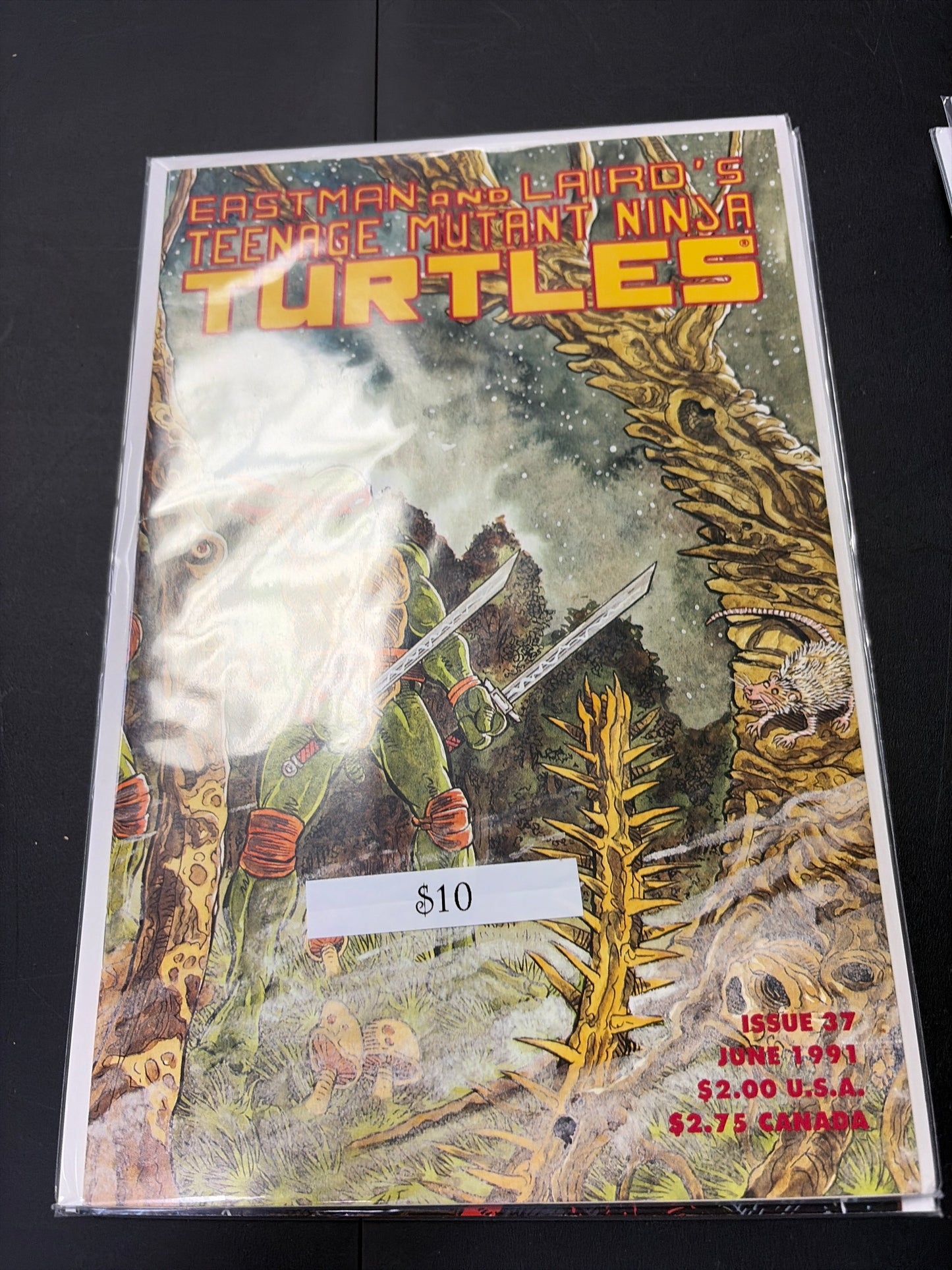 Eastman And Lairds TMNT #37