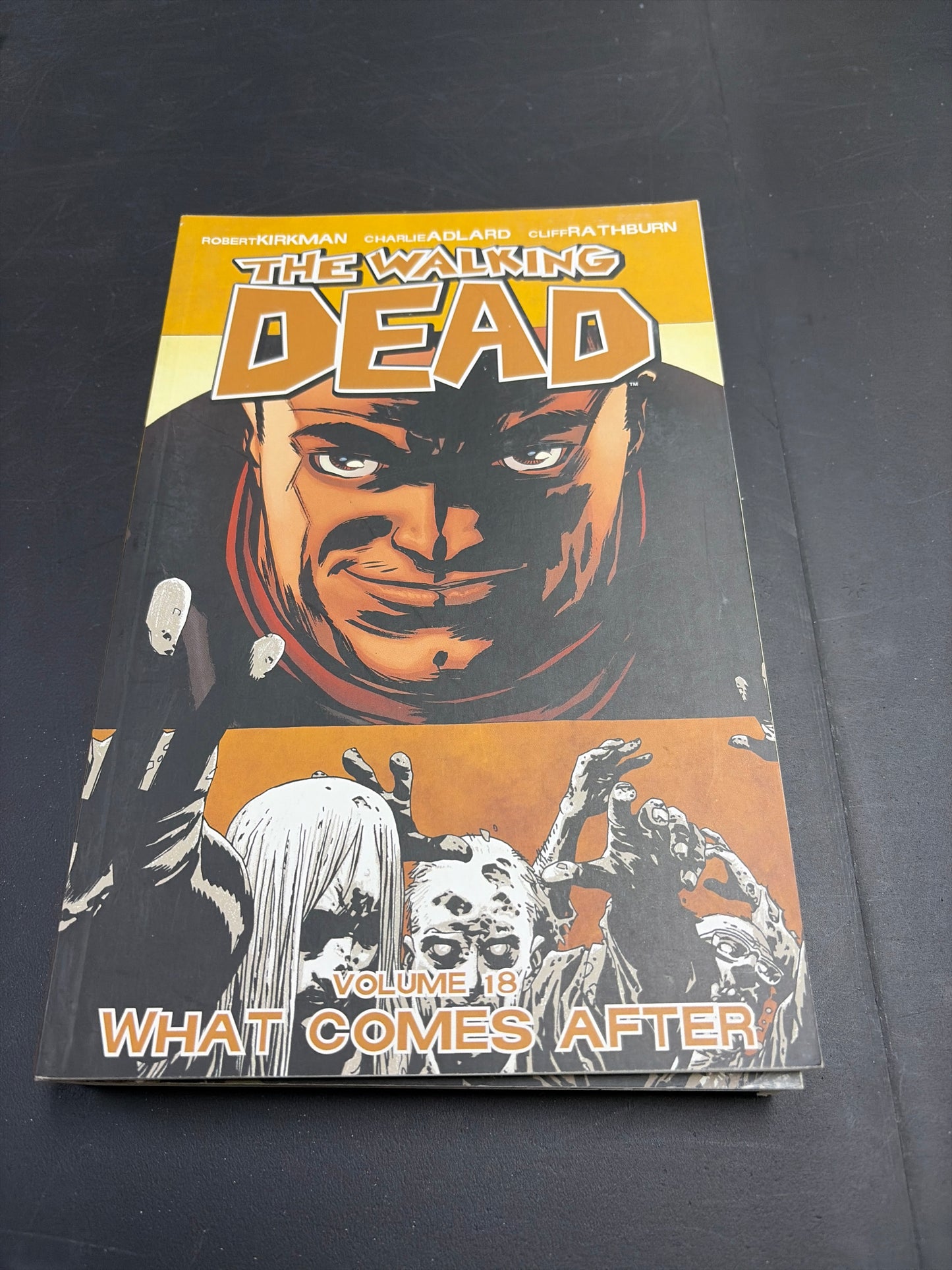 The Walking Dead Vol. 18: What Comes After