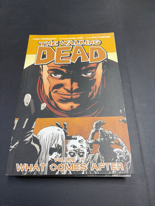 The Walking Dead Vol. 18: What Comes After
