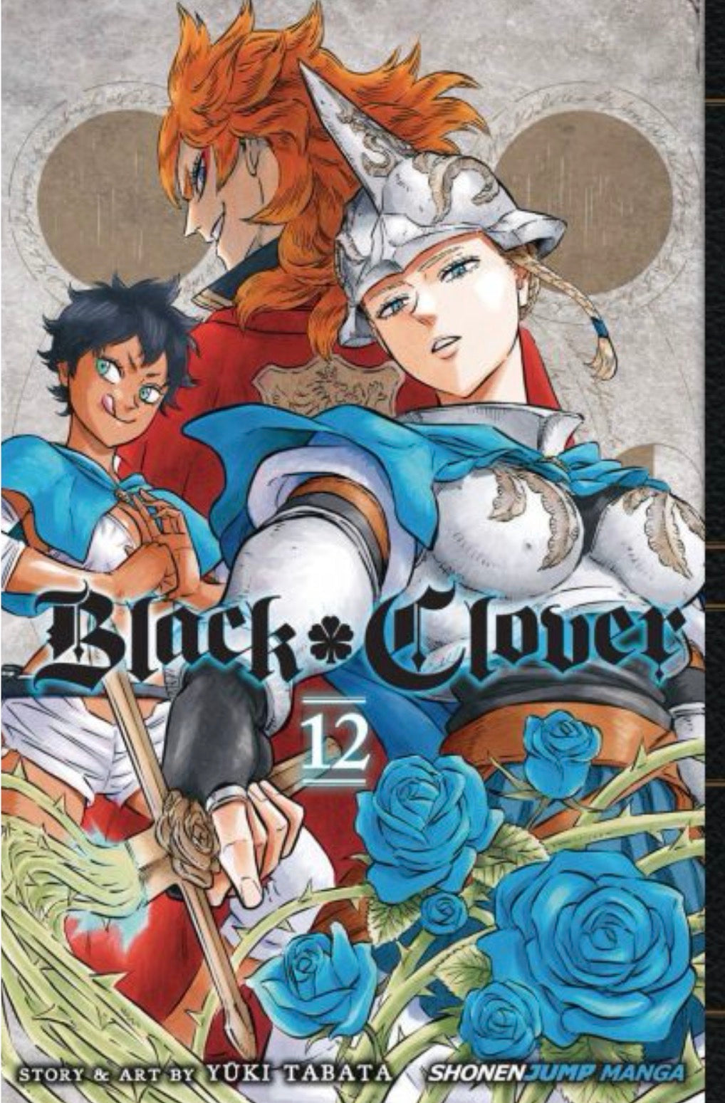 Black Clover 12