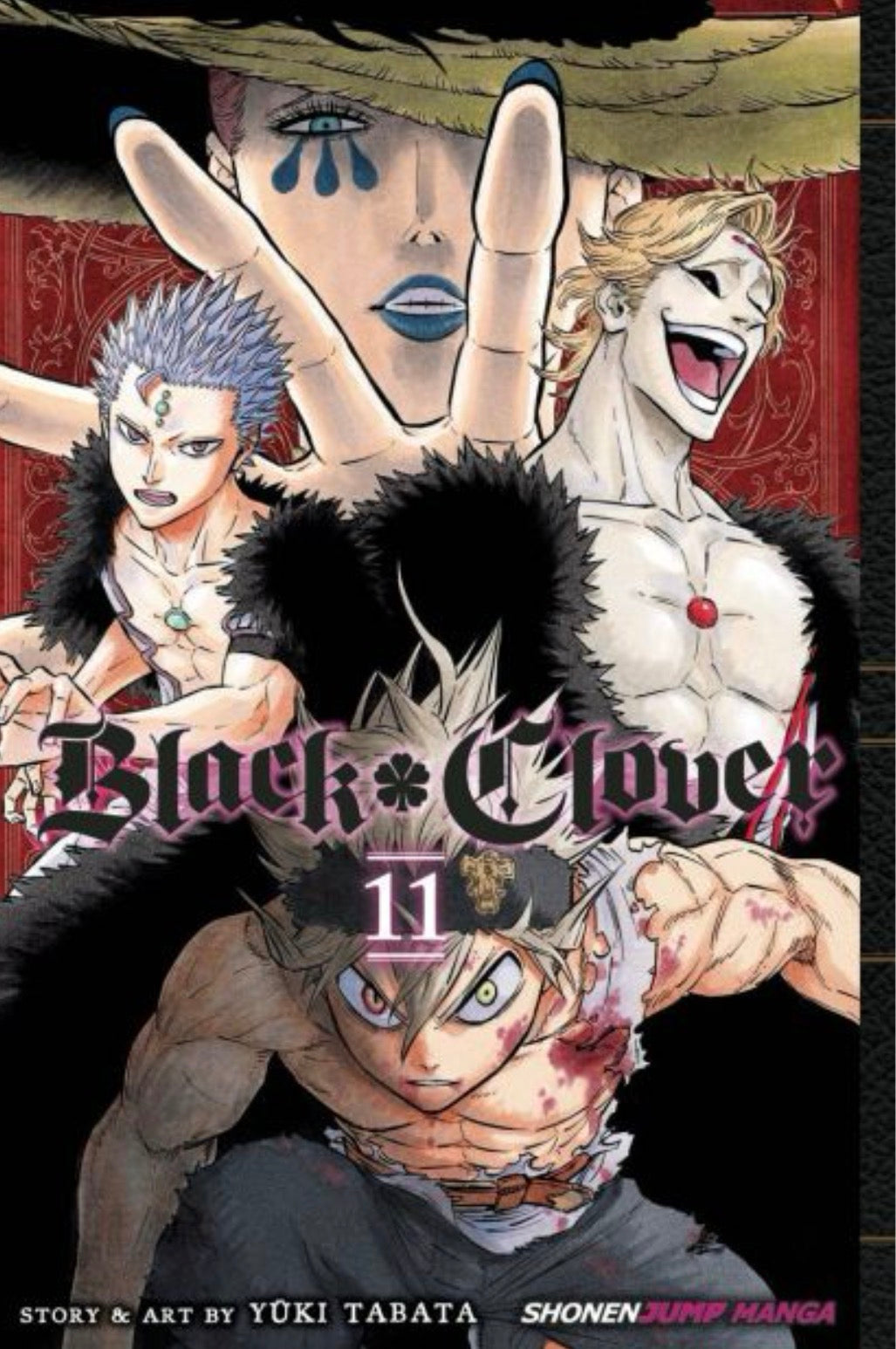Black Clover 11