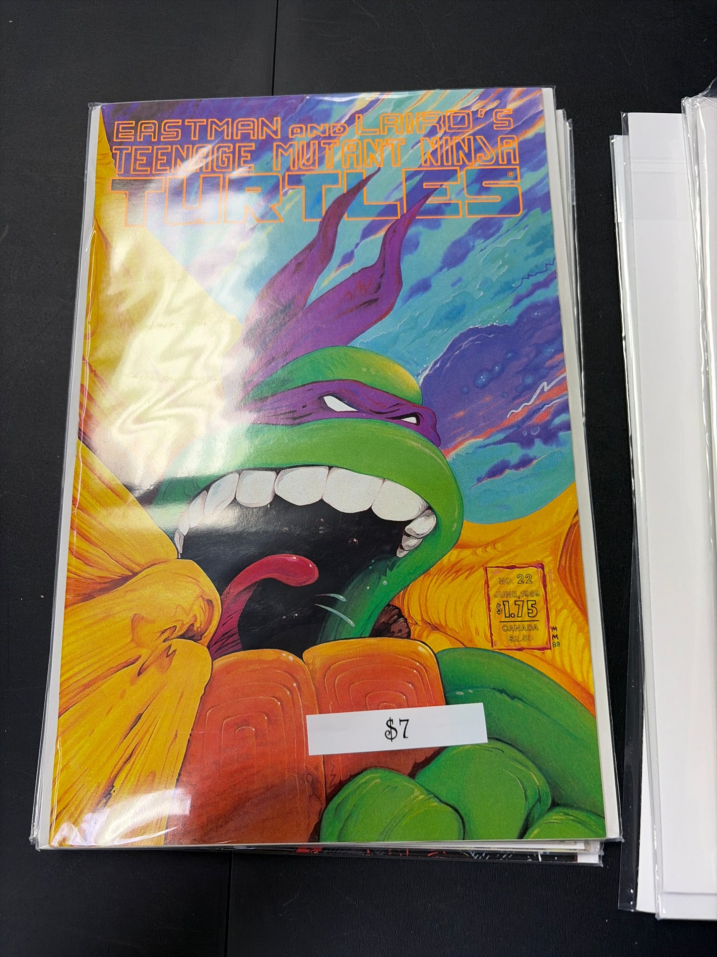 Eastman And Lairds TMNT #22
