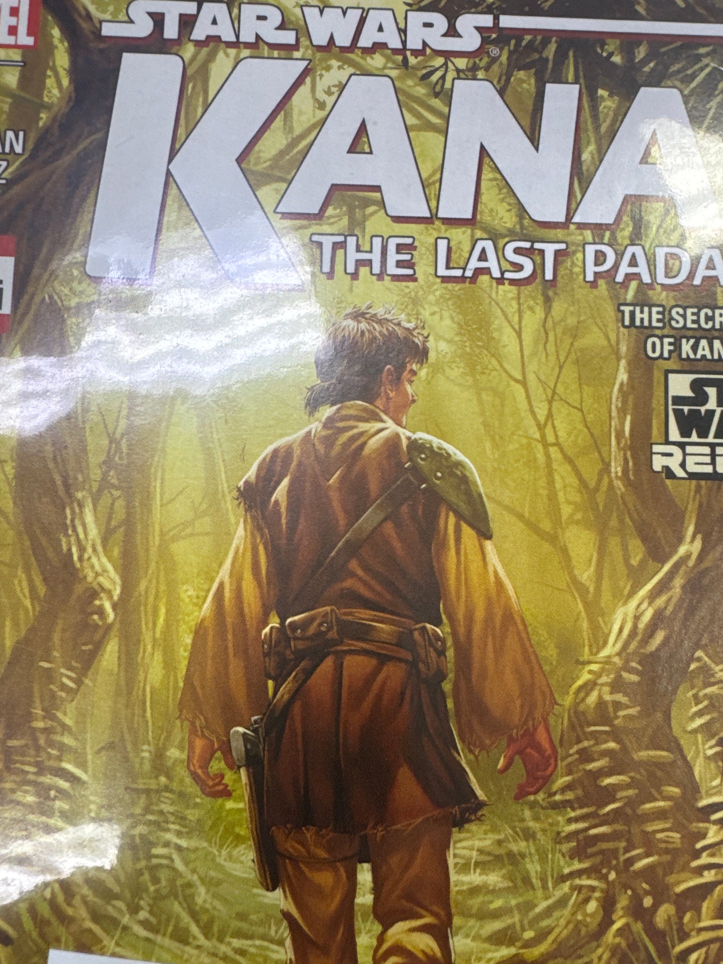 Kanan the Last Padawan