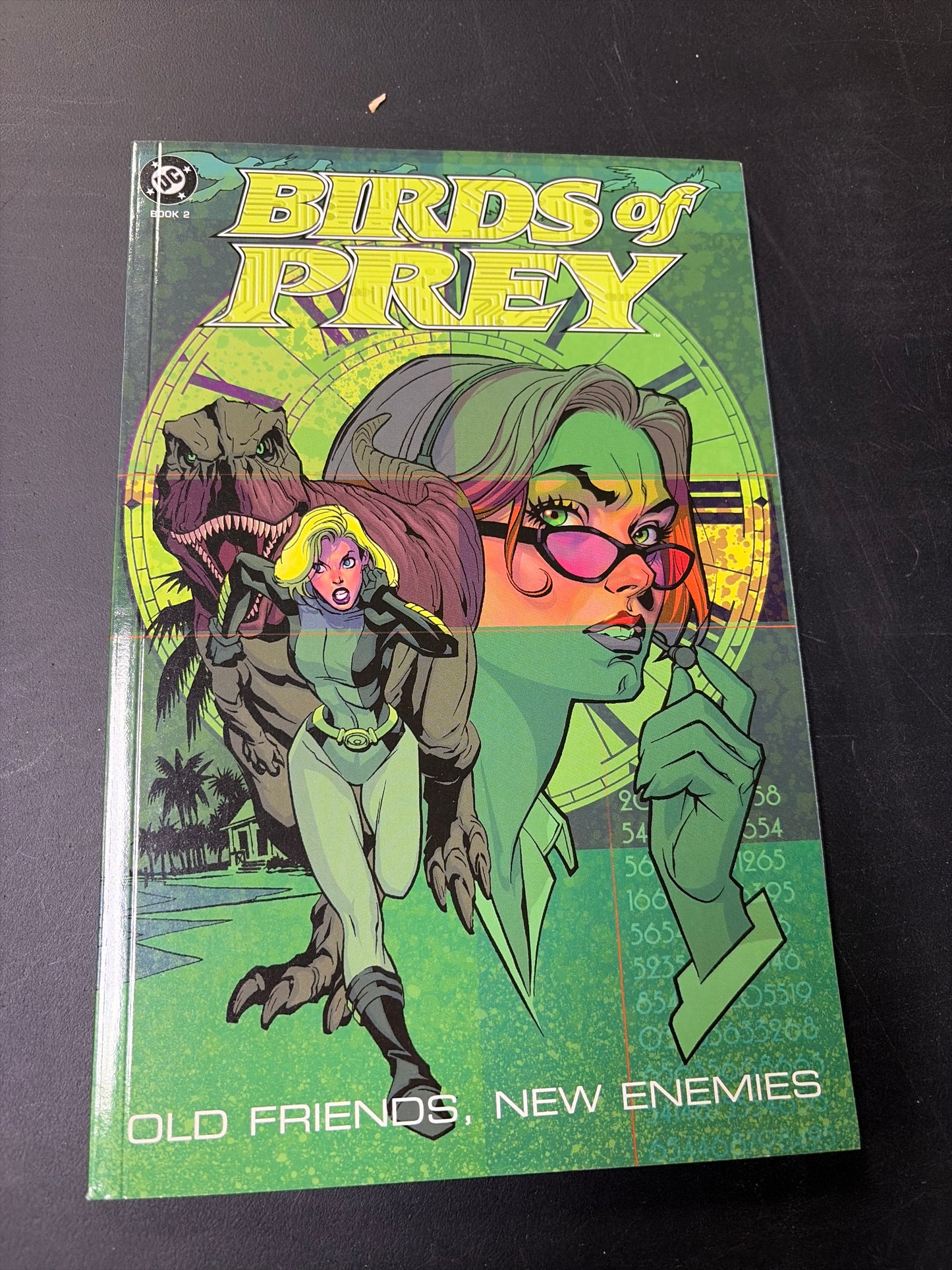Birds Of Prey: Old Friends, New Friends Novel