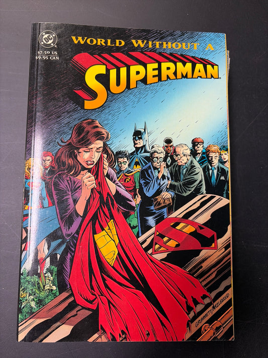 World Without a Superman Novel
