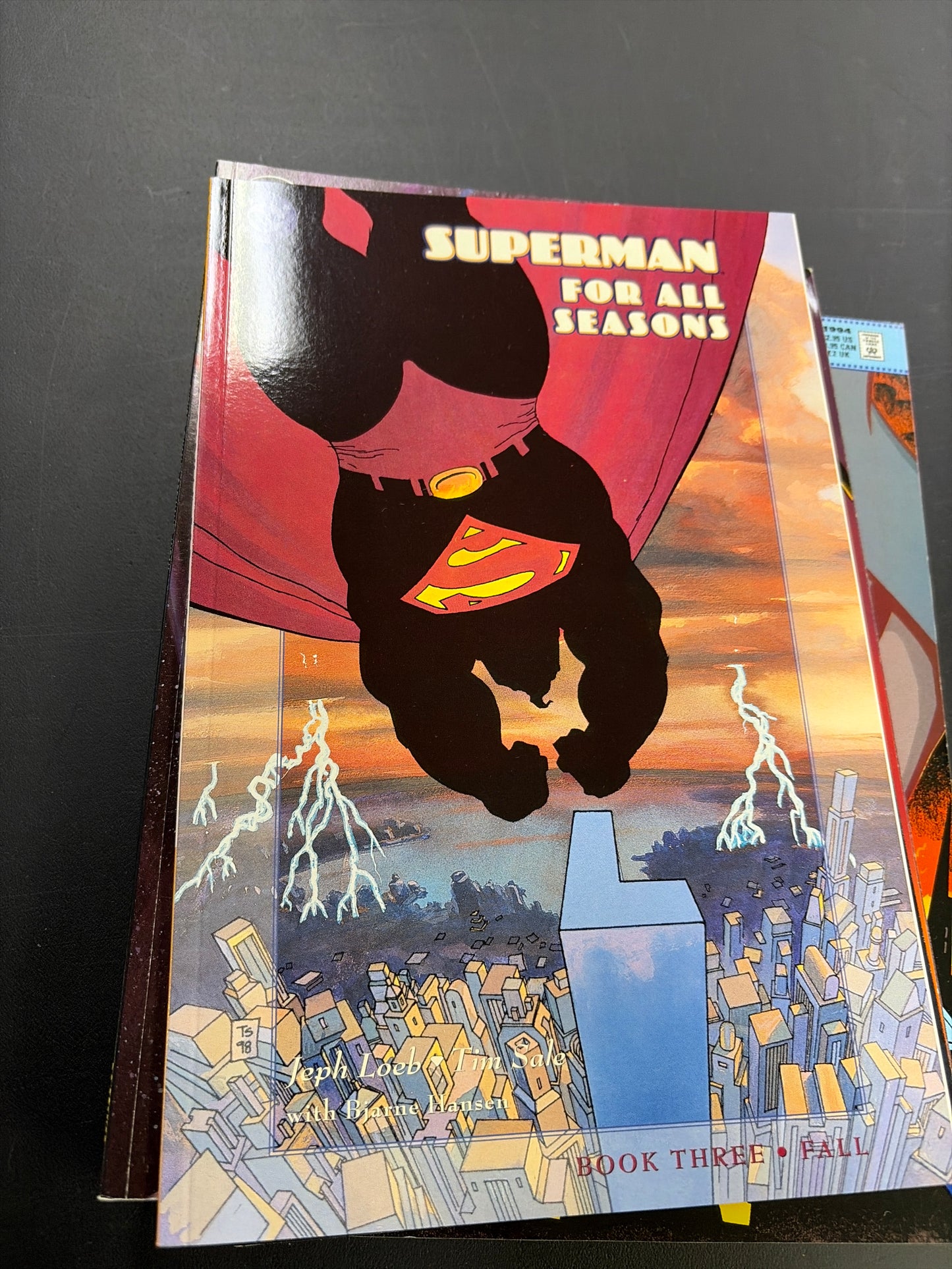 Superman: For All Seasons Book Three