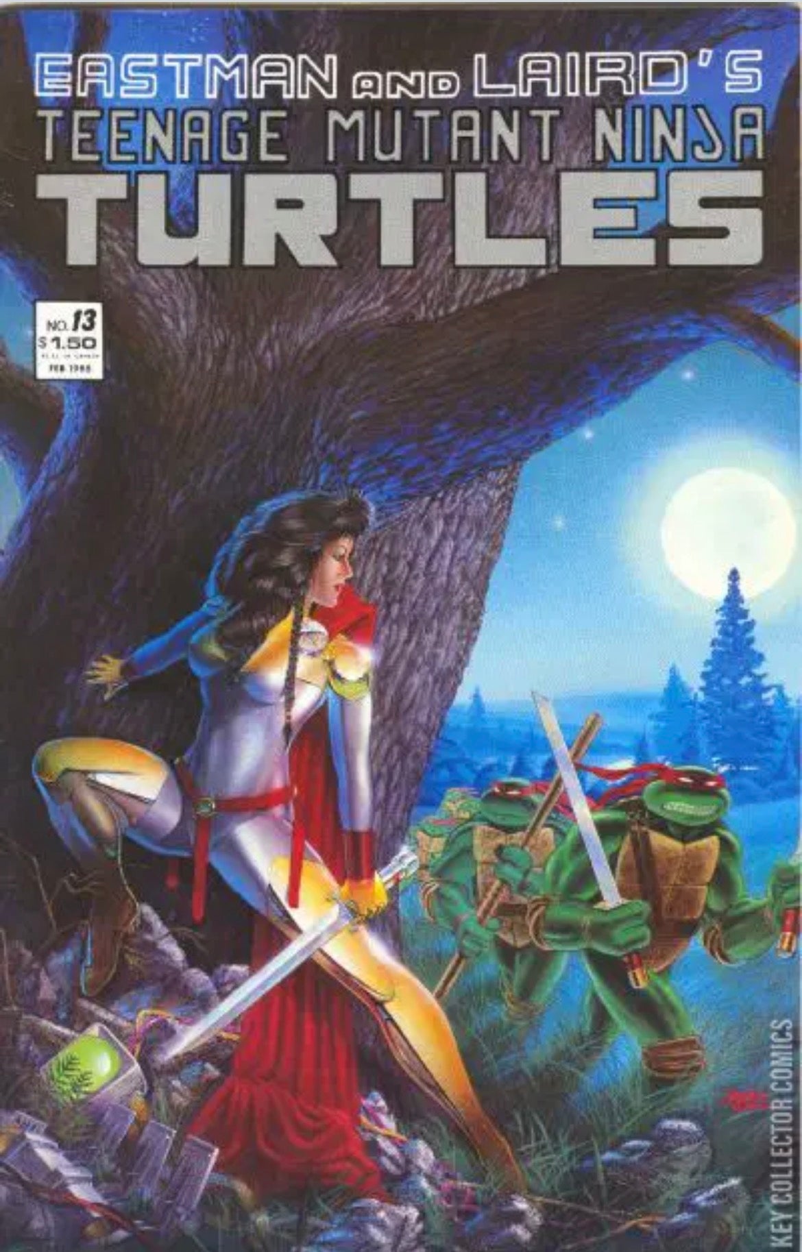 Teenage Mutant Ninja Turtles, Vol. 1, #13