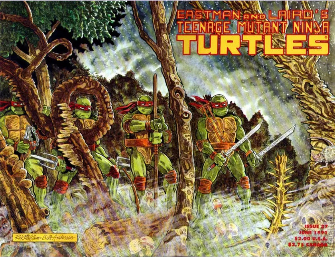Teenage Mutant Ninja Turtles, Vol. 1, #37