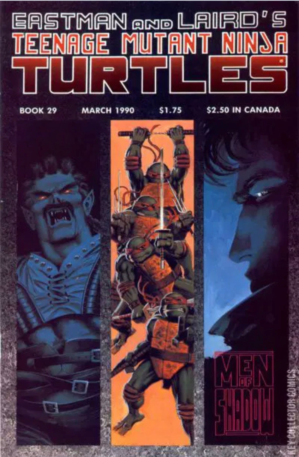 Teenage Mutant Ninja Turtles, Vol. 1, #29