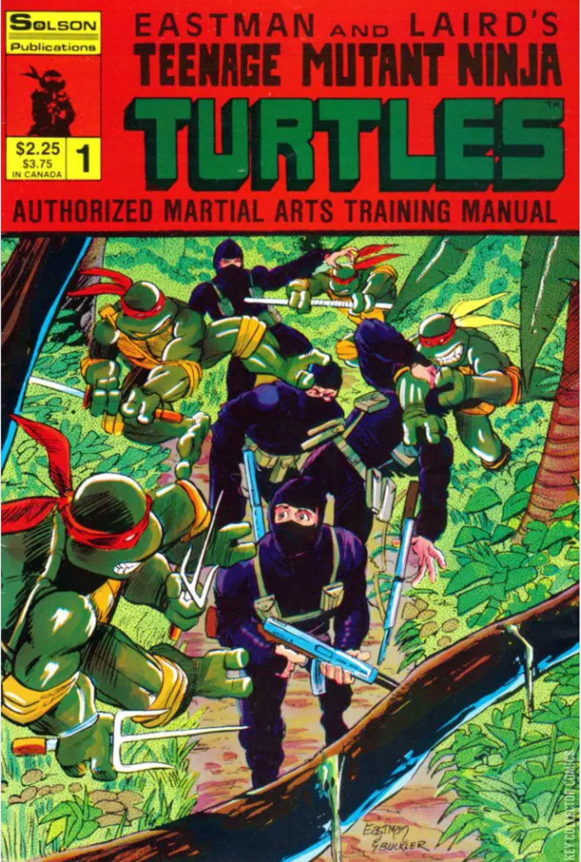 Teenage Mutant Ninja Turtles: Authorized Martial Arts Training Manual, #1
