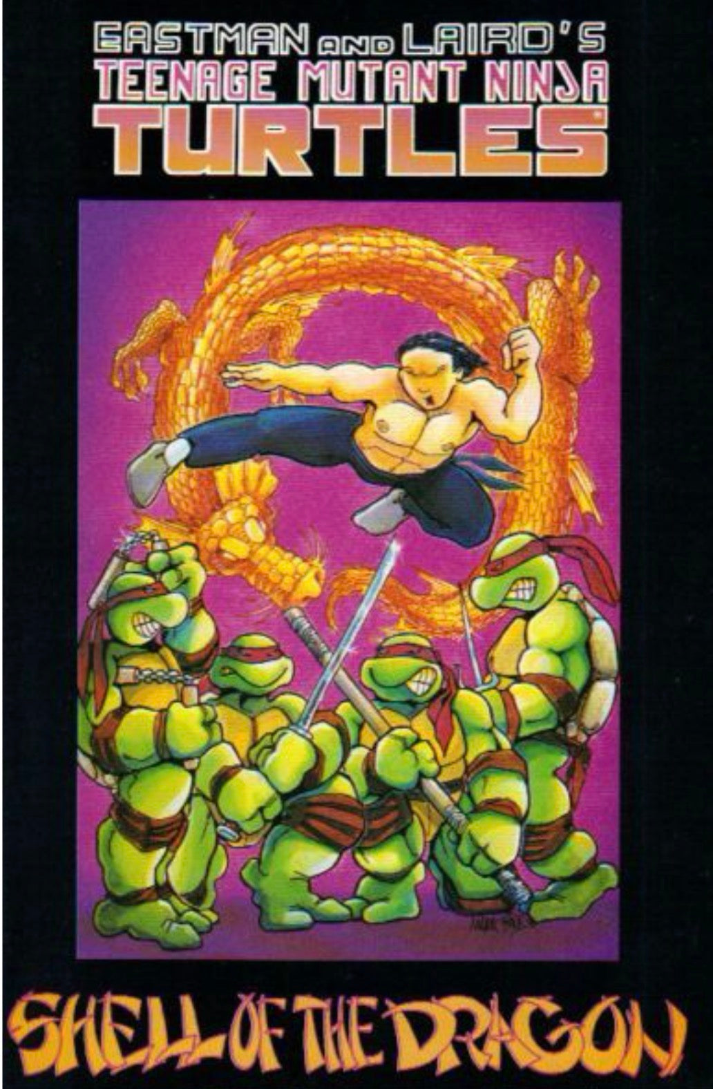 Teenage Mutant Ninja Turtles, Vol. 1, #18