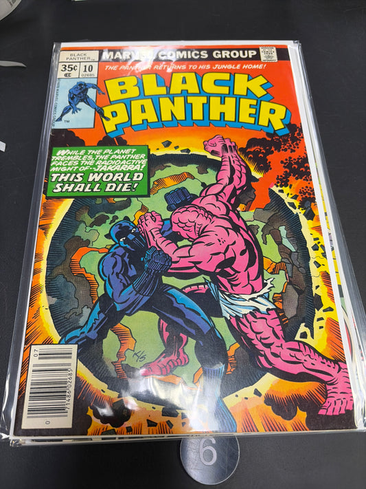 Black Panther #10